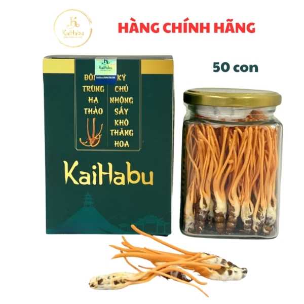 50 Con Đông Trùng Hạ Thảo Ký Chủ Nhộng KaiHabu – Sấy Khô Thăng Hoa