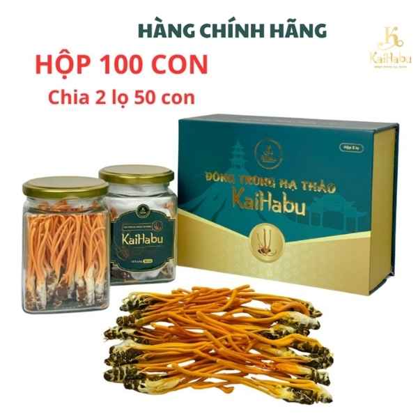 100 Con Đông Trùng Hạ Thảo Ký Chủ Nhộng KaiHabu – Sấy Khô Thăng Hoa