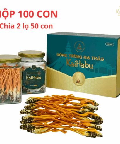 Hộp 100 con Đông trùng hạ thảo ký chủ nhộng sấy khô thăng hoa KaiHabu, dược chất cao