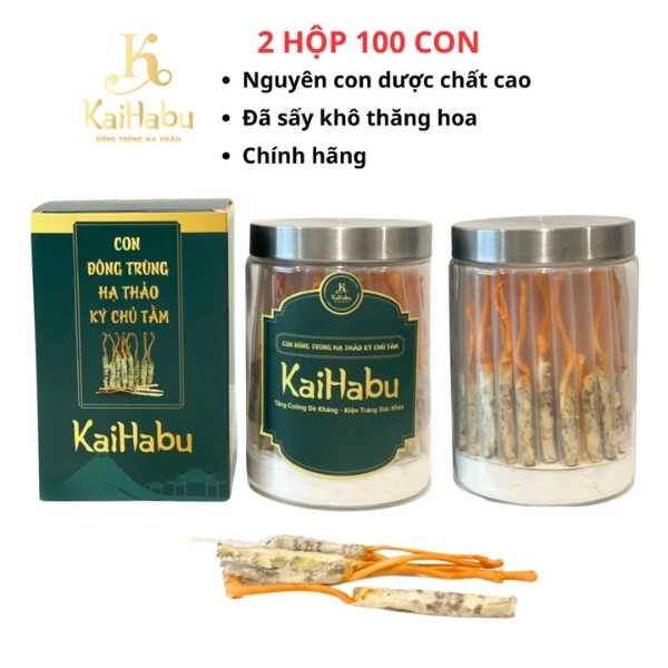 100 Con Đông Trùng Hạ Thảo Ký Chủ Tằm VIP2 KaiHabu – 2 Lọ x 50 Con