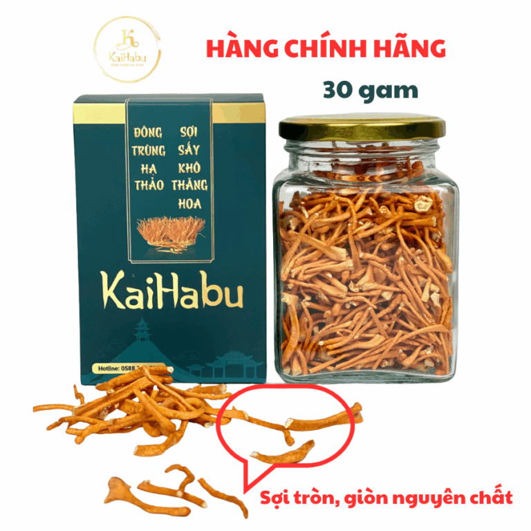 Lọ 30 gam sợi gãy – Đông trùng hạ thảo sấy khô thăng hoa