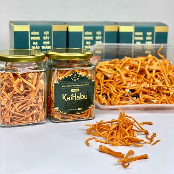 Combo 3 Lọ 15g Đông Trùng Hạ Thảo Sợi Gãy KaiHabu – Sấy Khô Thăng Hoa - Ảnh 6