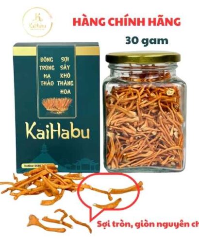 Lọ 30g Đông Trùng Hạ Thảo Sợi Gãy KaiHabu – Sấy Khô Thăng Hoa