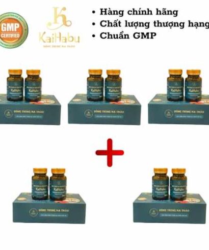 Combo 5 Hộp Viên Uống Đông Trùng Hạ Thảo Linh Chi KaiHabu