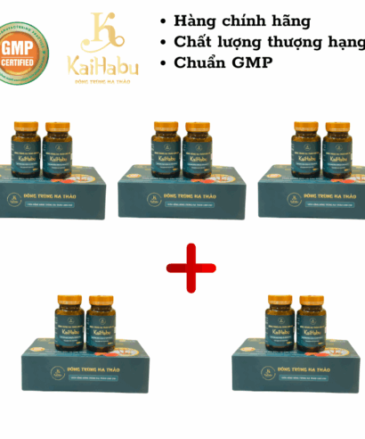 Combo 5 hộp Viên uống Đông Trùng Hạ Thảo Linh Chi KaiHabu – Giải pháp tăng cường đề kháng tự nhiên, bồi bổ sức khỏe toàn diện