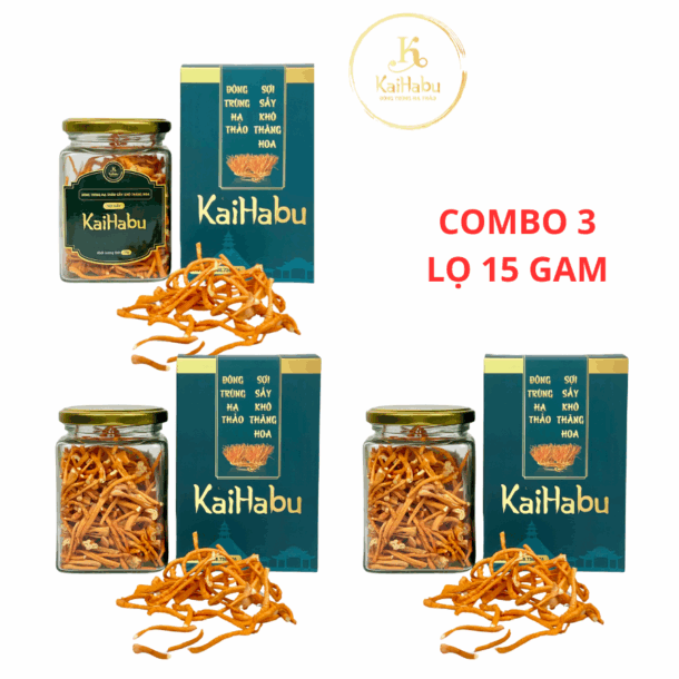 Combo 3 lọ 15 gam Đông trùng hạ thảo sợi gãy sấy khô thăng hoa