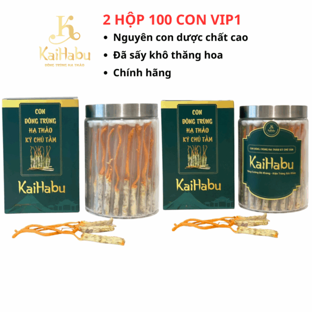 100 Con VIP1 Đông Trùng Hạ Thảo Ký Chủ Tằm KaiHabu