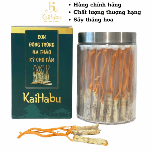 50 con VIP1 Đông Trùng Hạ Thảo Ký Chủ Tằm KaiHabu – Dược Chất Tinh Túy, An Toàn, Khó Làm Giả