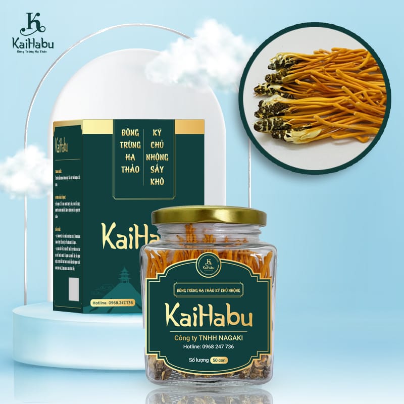 Đông Trùng Hạ Thảo Kaihabu Nuôi Cấy: Bí Quyết Nâng Cao Sức Khỏe Toàn Diện