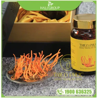 Giải mã những lầm tưởng phổ biến về công dụng thần kỳ của đông trùng hạ thảo