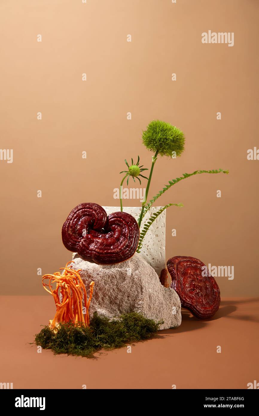 kết hợp linh chi và đông trùng hạ thảo - Công thức nấu cháo hoặc hầm canh