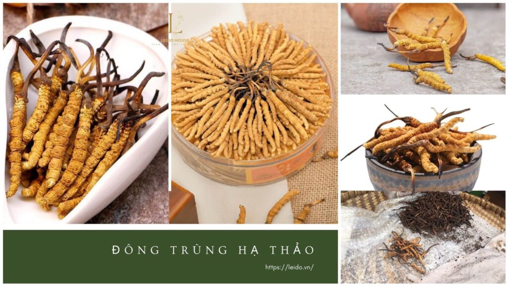 kết hợp đông trùng hạ thảo và nhân sâm - Phương pháp hãm trà bổ dưỡng