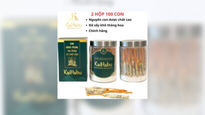 Đông trùng hạ thảo ký chủ tằm VIP2 KaiHabu tăng đề kháng hiệu quả