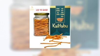 Đông trùng hạ thảo sợi sấy khô thăng hoa: Bí quyết tăng cường đề kháng