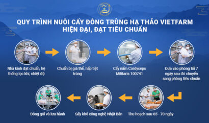 Quy trình nuôi cấy đông trùng hạ thảo Kaihabu đạt chuẩn chất lượng quốc tế