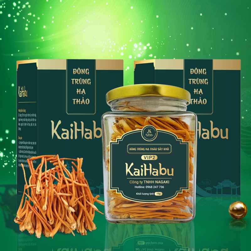 phân biệt đông trùng hạ thảo Kaihabu thật và giả