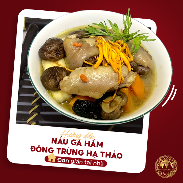 Hướng dẫn chế biến món gà hầm đông trùng hạ thảo Kaihabu bổ dưỡng