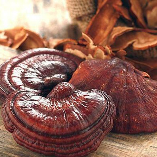 hỗ trợ điều hòa huyết áp - Giảm căng thẳng và cải thiện giấc ngủ