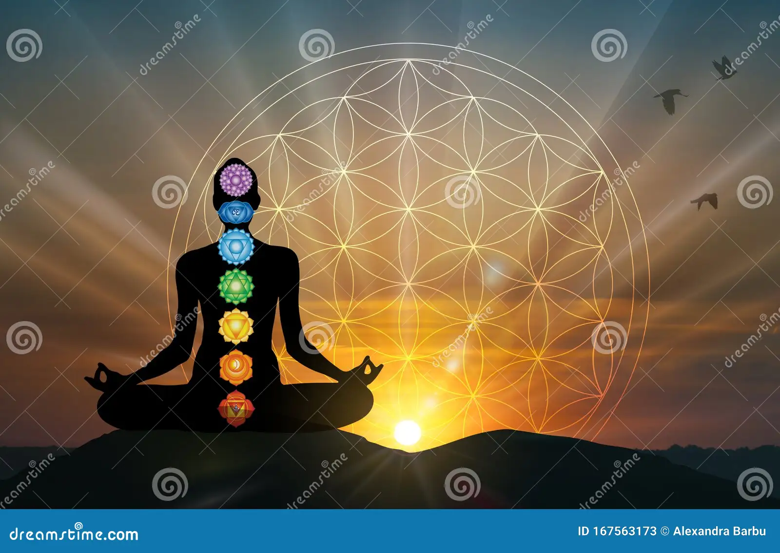 cơ chế tự chữa lành